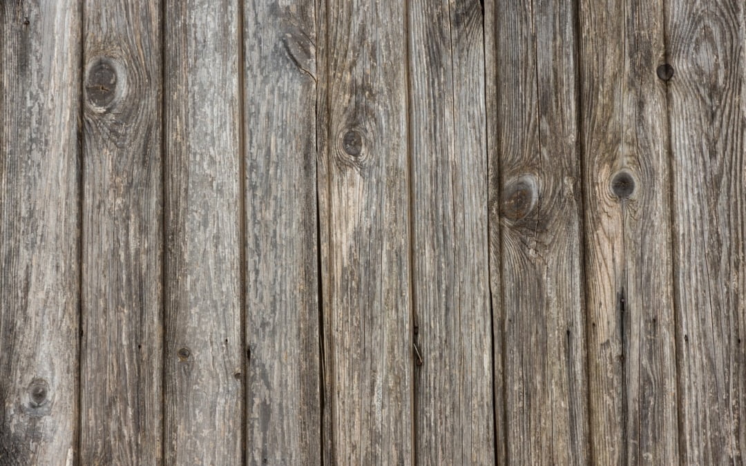 De ultieme gids voor het kiezen van het perfecte haardhout