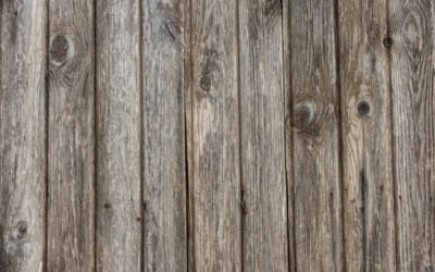 De ultieme gids voor het kiezen van het perfecte haardhout