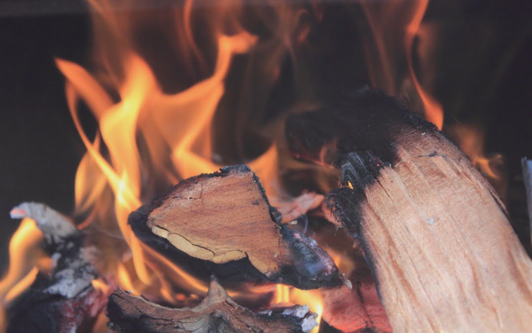 Gids voor het kopen, opslaan en verbranden van haardhout