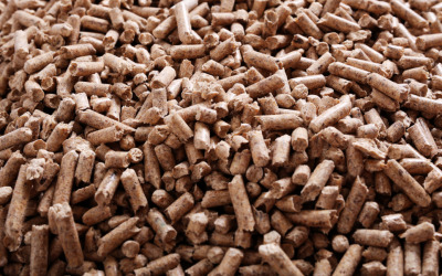 Houtpellets, DINplus: Een duurzame brandstof voor efficiënte verwarming