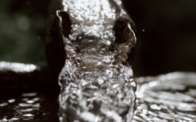 Het belang van een goede mastgoot: bescherming voor Je huis