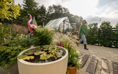 Tuinontwerp laten maken? De belangrijkste aandachtspunten