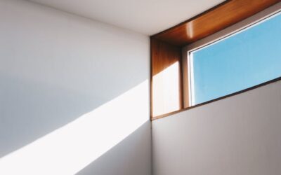 Comfort en duurzaamheid in moderne stallen 