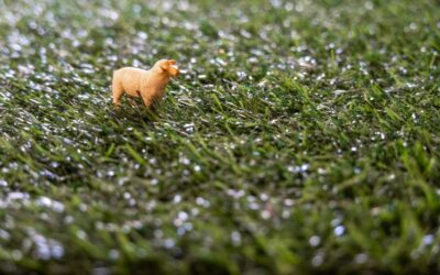 Gekleurd kunstgras als speelse toevoeging aan de tuin